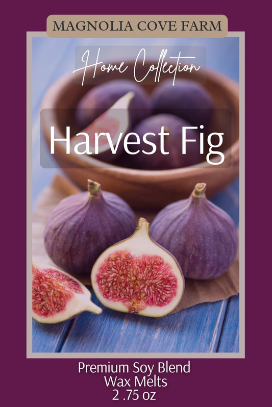 Harvest Fig